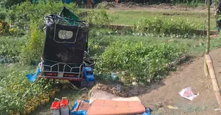 কিশোরগঞ্জে ট্রাকের ধাক্কায় বৃদ্ধ দম্পতি নিহত; মেয়েসহ আহত ৩